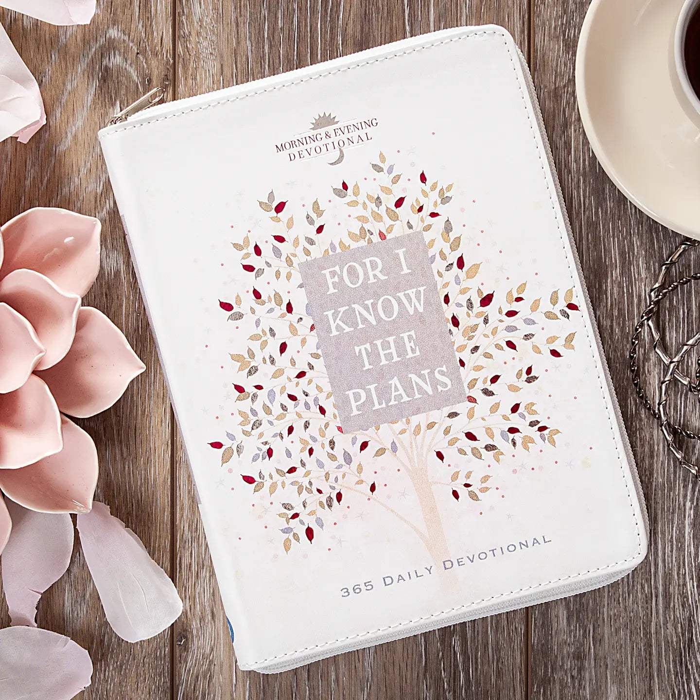 For I Know the Plans Morning & Evening Devotional