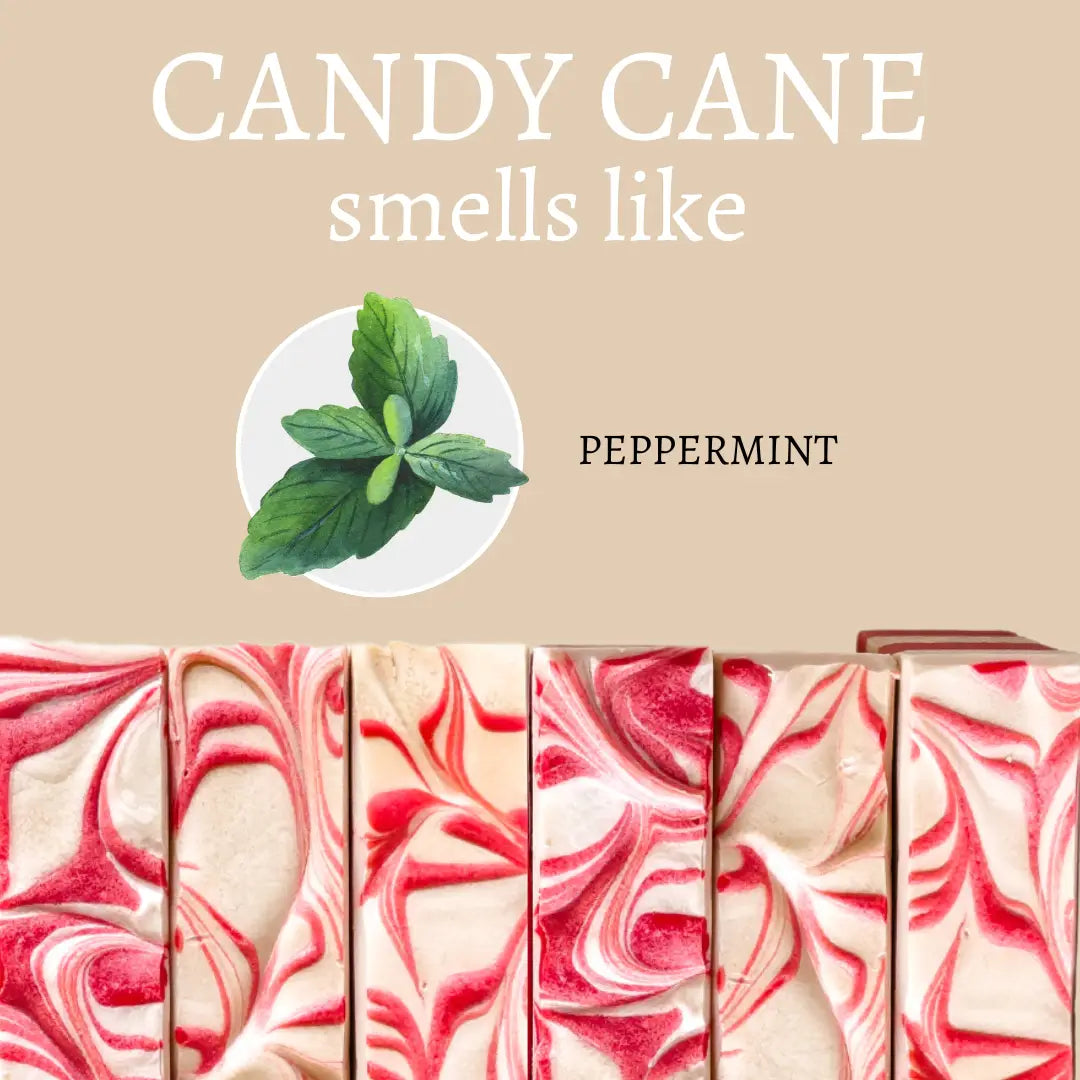 Candy Cane smells like peppermint