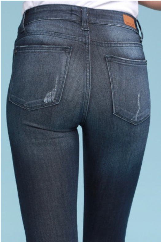 Judy Blue Dark Denim Skinny Jean