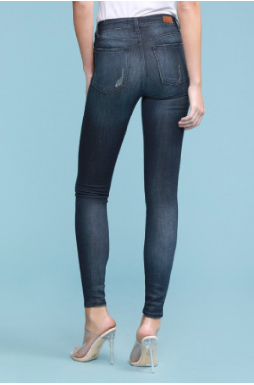Judy Blue Dark Denim Skinny Jean
