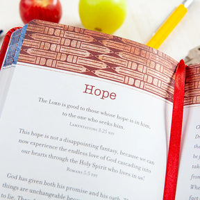 Prayers & Promises for Teachers Devotional