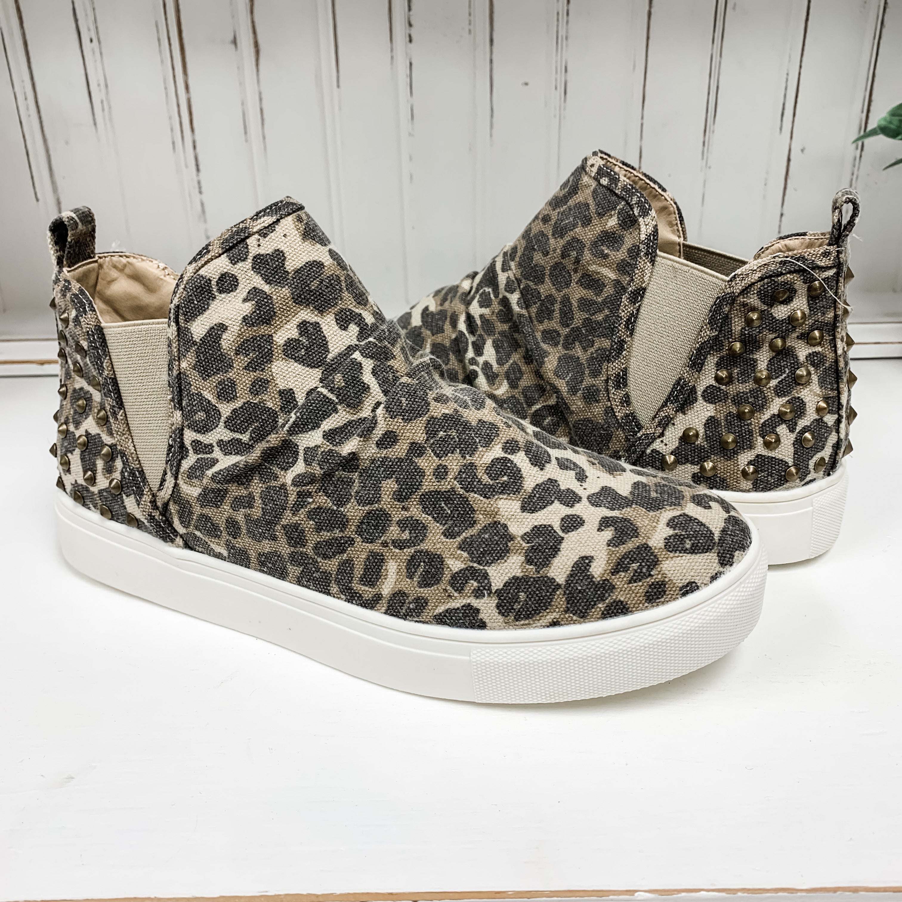 Zoey - Leopard