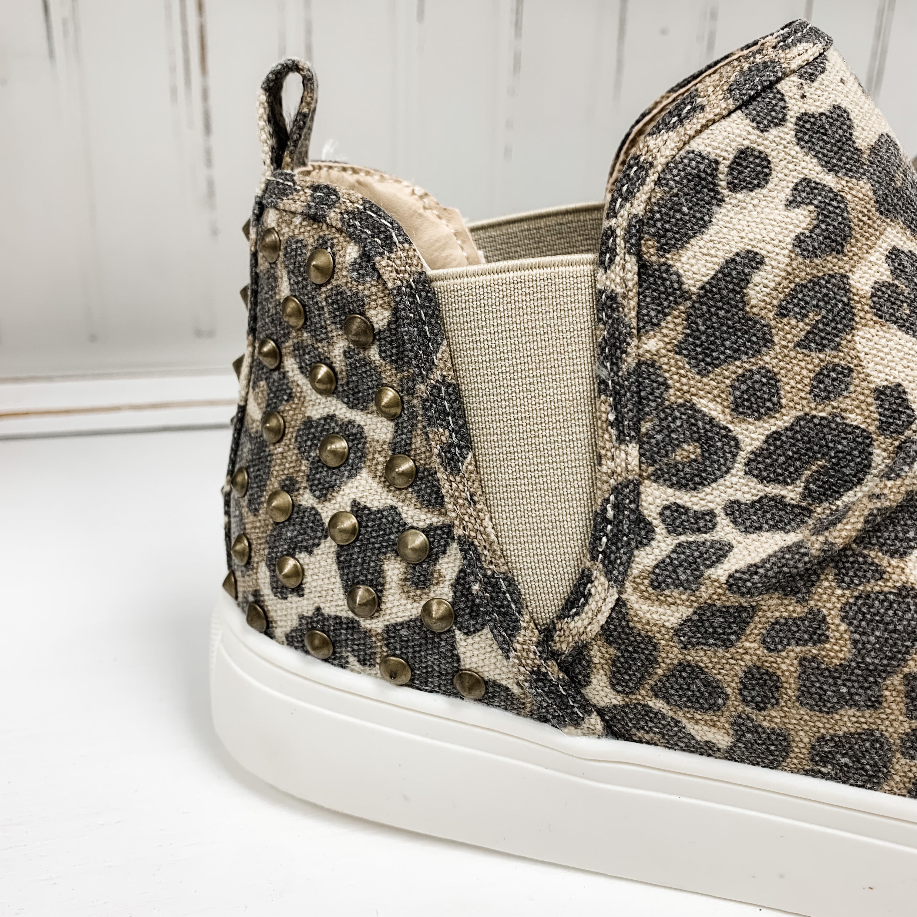 Zoey - Leopard