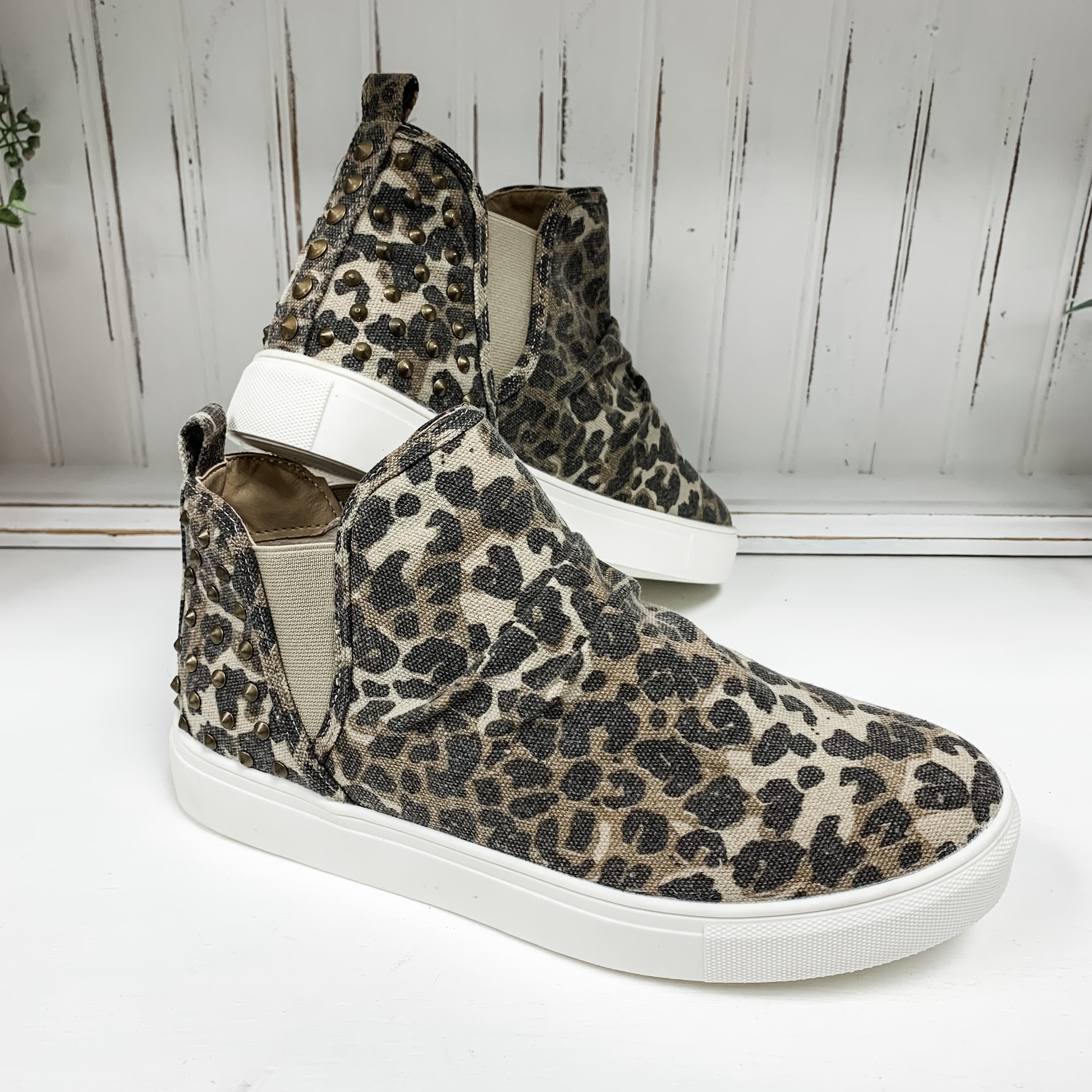 Zoey - Leopard