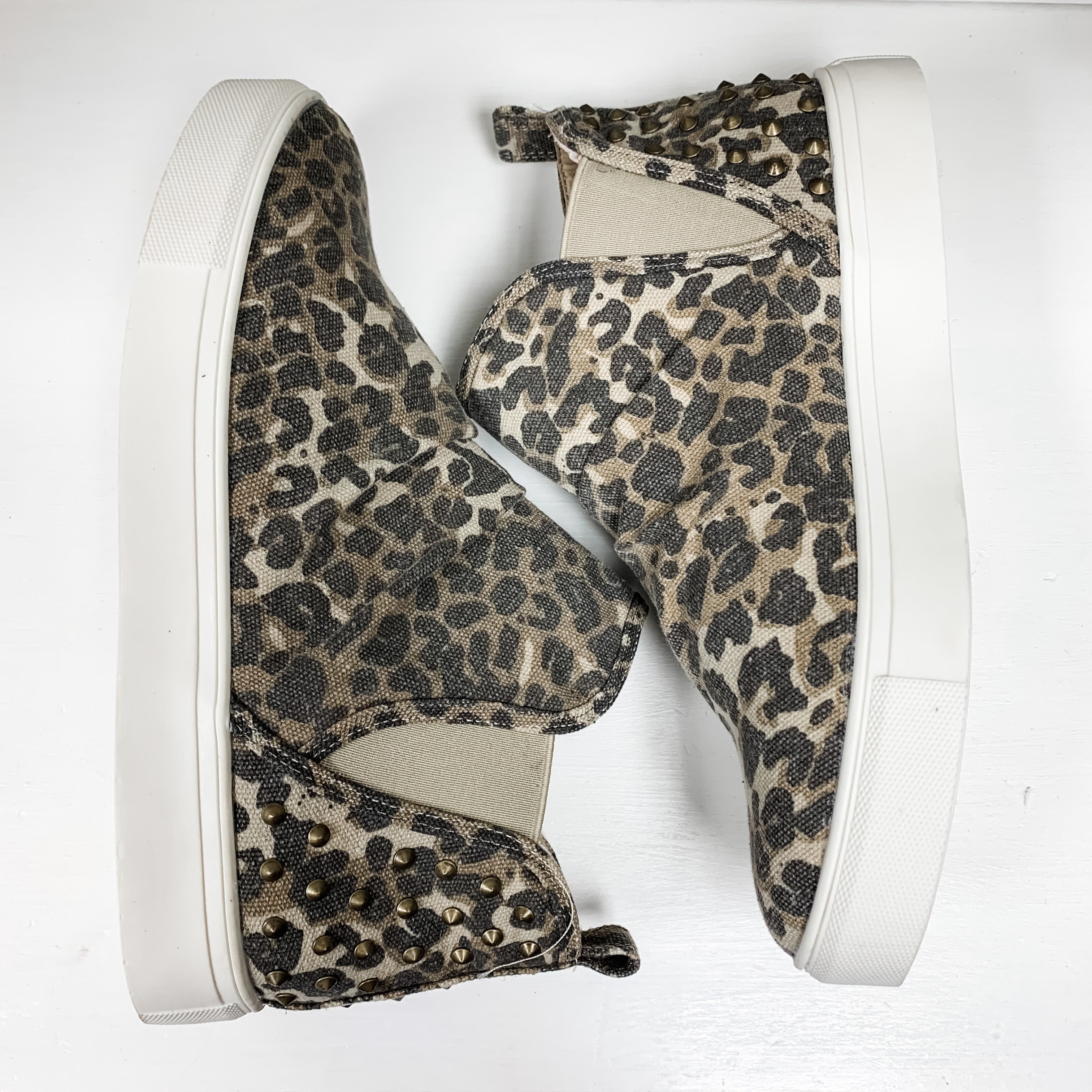 Zoey - Leopard