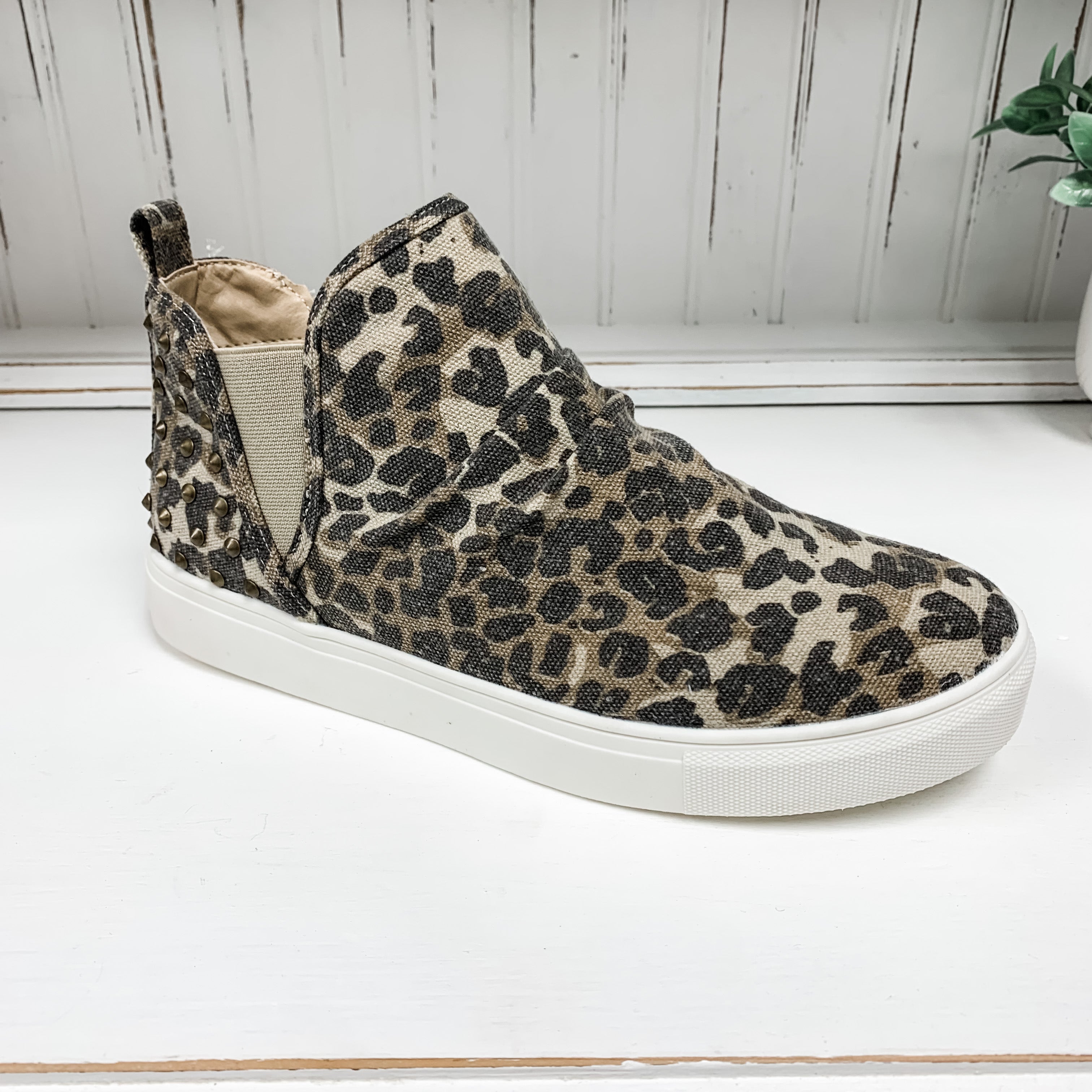 Zoey - Leopard