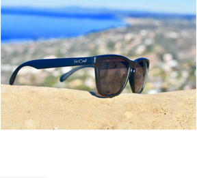 FarOut Sunglasses - Black Premium Black Lens